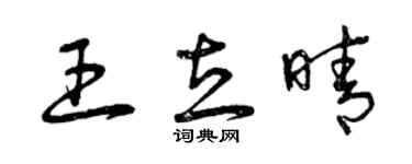 曾慶福王立晴草書個性簽名怎么寫
