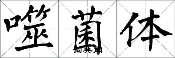 翁闓運噬菌體楷書怎么寫