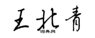 王正良王北青行書個性簽名怎么寫