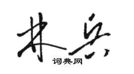 駱恆光林兵草書個性簽名怎么寫