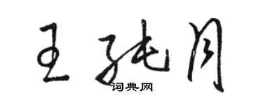 駱恆光王純月草書個性簽名怎么寫