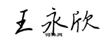 王正良王永欣行書個性簽名怎么寫