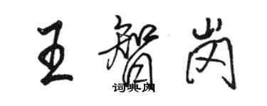 駱恆光王智崗行書個性簽名怎么寫