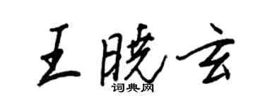 王正良王曉玄行書個性簽名怎么寫