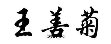 胡問遂王善菊行書個性簽名怎么寫