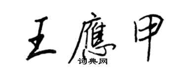 王正良王應甲行書個性簽名怎么寫