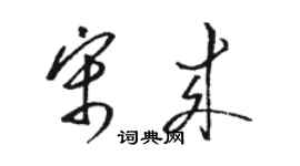 駱恆光宋來草書個性簽名怎么寫