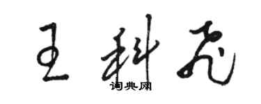 駱恆光王科飛草書個性簽名怎么寫