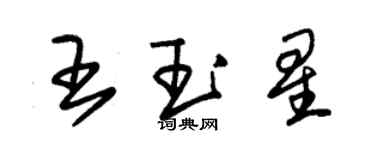 朱錫榮王玉星草書個性簽名怎么寫