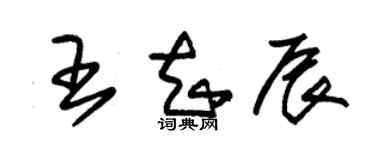 朱錫榮王知辰草書個性簽名怎么寫