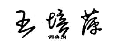 朱錫榮王培萍草書個性簽名怎么寫