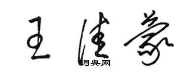 駱恆光王佳蒙草書個性簽名怎么寫