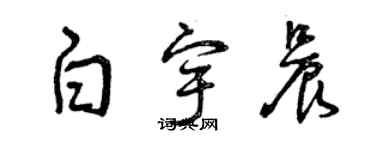 曾慶福白宇晨草書個性簽名怎么寫