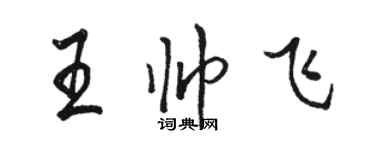 駱恆光王帥飛行書個性簽名怎么寫