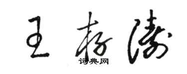 駱恆光王存濤草書個性簽名怎么寫