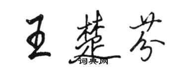 駱恆光王楚芬行書個性簽名怎么寫