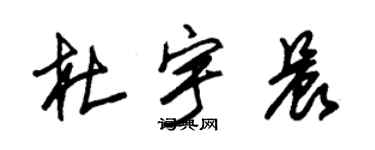 朱錫榮杜宇晨草書個性簽名怎么寫