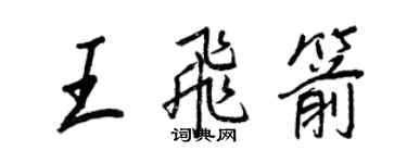 王正良王飛箭行書個性簽名怎么寫