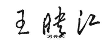 駱恆光王映江草書個性簽名怎么寫