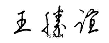 梁錦英王勝誼草書個性簽名怎么寫