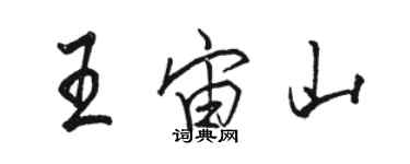 駱恆光王宙山行書個性簽名怎么寫