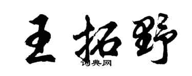 胡問遂王拓野行書個性簽名怎么寫