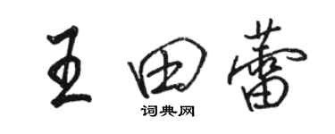 駱恆光王田蕾行書個性簽名怎么寫