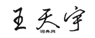 駱恆光王天宇行書個性簽名怎么寫