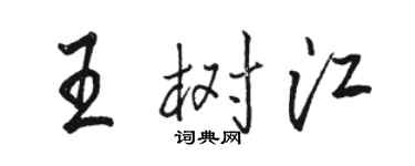 駱恆光王樹江行書個性簽名怎么寫