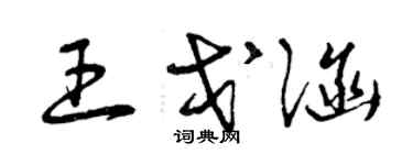 曾慶福王戈涵草書個性簽名怎么寫