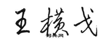 駱恆光王橫戈行書個性簽名怎么寫