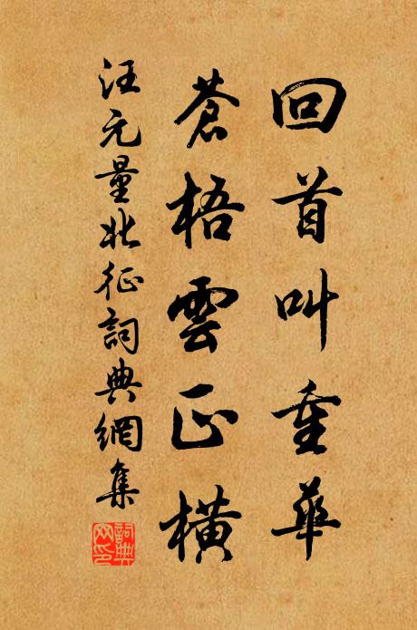 取路無高足，隨波適下流 詩詞名句