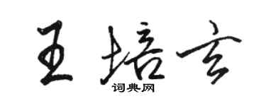 駱恆光王培玄行書個性簽名怎么寫