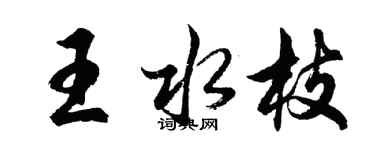 胡問遂王水枝行書個性簽名怎么寫