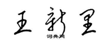 梁錦英王新里草書個性簽名怎么寫