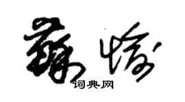 朱錫榮蘇愉草書個性簽名怎么寫