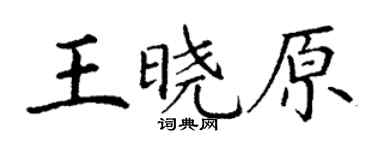 丁謙王曉原楷書個性簽名怎么寫