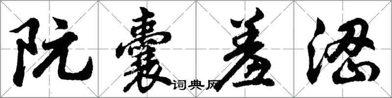 胡問遂阮囊羞澀行書怎么寫