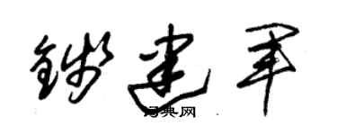 朱錫榮錢建軍草書個性簽名怎么寫