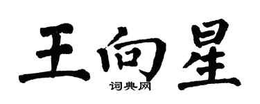 翁闓運王向星楷書個性簽名怎么寫