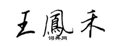 王正良王鳳禾行書個性簽名怎么寫