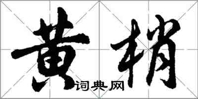 胡問遂黃梢行書怎么寫