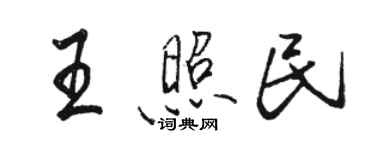 駱恆光王照民行書個性簽名怎么寫