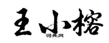 胡問遂王小榕行書個性簽名怎么寫