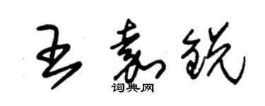 朱錫榮王嘉銳草書個性簽名怎么寫