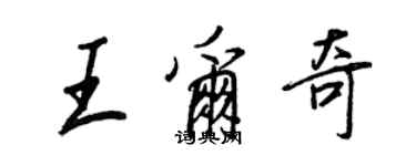 王正良王爾奇行書個性簽名怎么寫