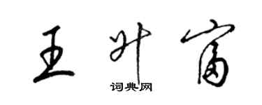 梁錦英王升富草書個性簽名怎么寫