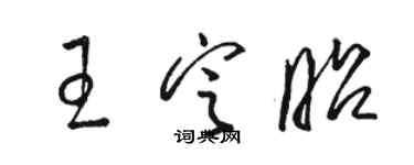 駱恆光王定昭草書個性簽名怎么寫