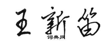 駱恆光王新笛行書個性簽名怎么寫