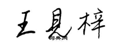 王正良王見梓行書個性簽名怎么寫